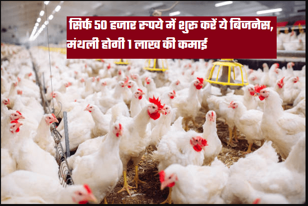 Best Poultry Farming Business