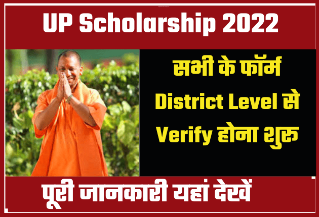 UP Scholarship