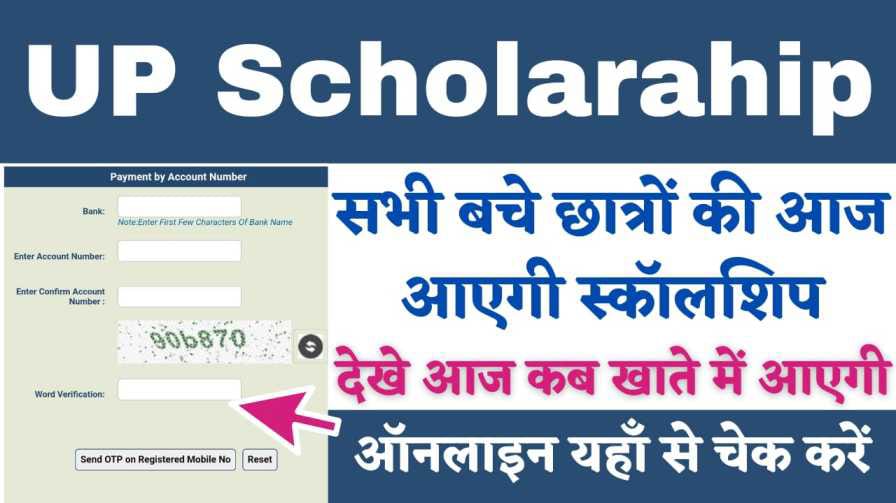 UP Scholarship