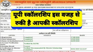 UP Scholarship 2022: इस वजह से रुकी है आपकी स्कॉलरशिप, ऐसा करते ही बैंक खाते में आ जाएगी राशि