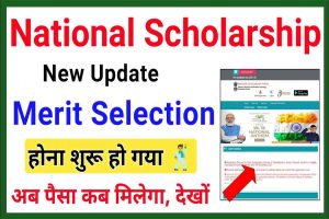 National Scholarship Merit Selection: होना शुरू हो गया जल्दी देखों NSP Payment New Update 2022