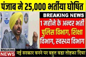 Punjab Govt Jobs : पंजाब मे 25,000 पदो पर भर्तिया घोषित पुलिस विभाग, शिक्षा विभाग व अन्य विभागो मे जोरदार भर्तीया