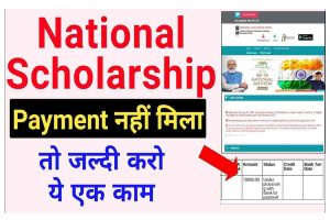 National Scholarship Payment नहीं मिला तो जल्दी करो ये एक काम पैसा मिल जाएगा