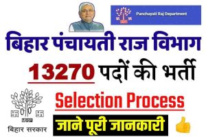 Panchayati Raj Vibhag Vacancy 2022: बिहार पंचायत सचिव और लिपिक बहाली, ऐसे करें आवेदन