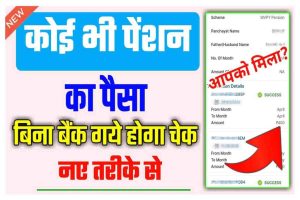 Pension Ka Paisa Kaise Check Kare 2024: कोई भी पेंशन का पैसा बिना बैंक गए, इस तरीके से चेक करें