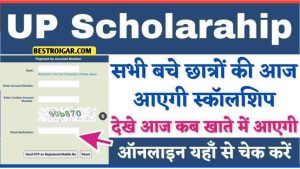 UP Scholarship