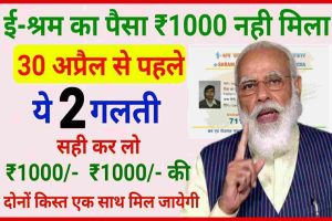 E Shram Card Ka Paisa: बचे हुए लोगो के खाते में आ गए ई श्रम कार्ड कै पैसे, यहाँ से चेक करें