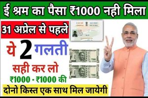 E Shram Card Payment Status: बचे हुए लोगो के खाते में आ गए 1000 रूपए, यहाँ से चेक करें स्टेटस