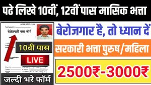 Good NEWS : पढे लिखे 10वीं, 12वीं पास बेरोजगारो को मिलेगे अब 2500 रुपये महीना जल्द करवाए रजिस्ट्रेशन