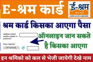 E-Shram Card : अब किसका आ सकता है श्रम कार्ड का पैसा चेक कर सकते है यहाँ से