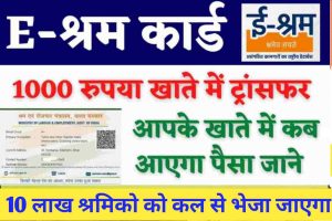 E-Shram Card Payment Status 2022 : जिनका 1000 रुपया नहीं है वो अपना पैसा यहाँ से चेक कर सकते है लिंक जारी