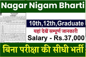 Nagar Nigam Bharti 2024: हजारो पदों पर निकली भर्ती, सरकारी नौकरी पाने का सुनहरा मौका जल्दी देखे