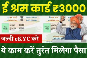 E Shram Card Payment Check: सभी लोगो के खाते में आ गए तीसरी क़िस्त के पैसे