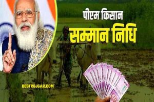 PM Kisan Samman Nidhi Yojana : 12 करोड़ से ज्यादा किसानों के खाते में इस दिन आएगी 2,000 रुपये की 11वीं किस्त