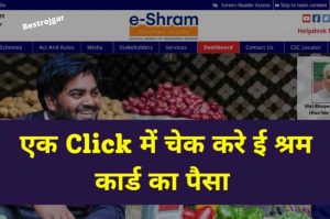 Best Way to Check The Balance Of E Shram Card Online | Check E Shram Card Balance From Here – Very Useful