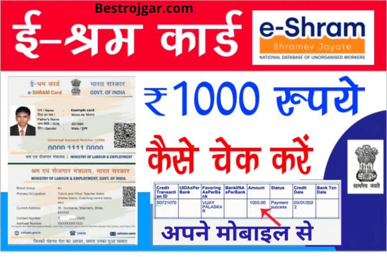 How To Check E Shram Card Payment Status Online