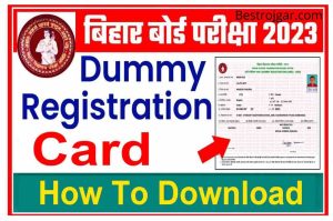 BSEB Class Matric Inte Dummy Registration Card 2022 : link here