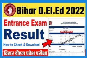 Bihar Deled Entrance Result 2022: How to Check & Download Direct Link