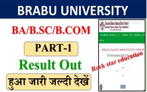 BRABU Part 2 Result 2024-यहां से चेक होगा रिजल्ट सबसे पहले