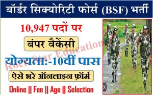 BSF New Recuitment 2024: 10वीं पास युवाओं के लिए BSF में निकली वैकेंसी 23 साल तक के कैंडिडेट्स कर सकेंगे अप्लाई, 69,100 हजार तक मिलेगी सैलरी