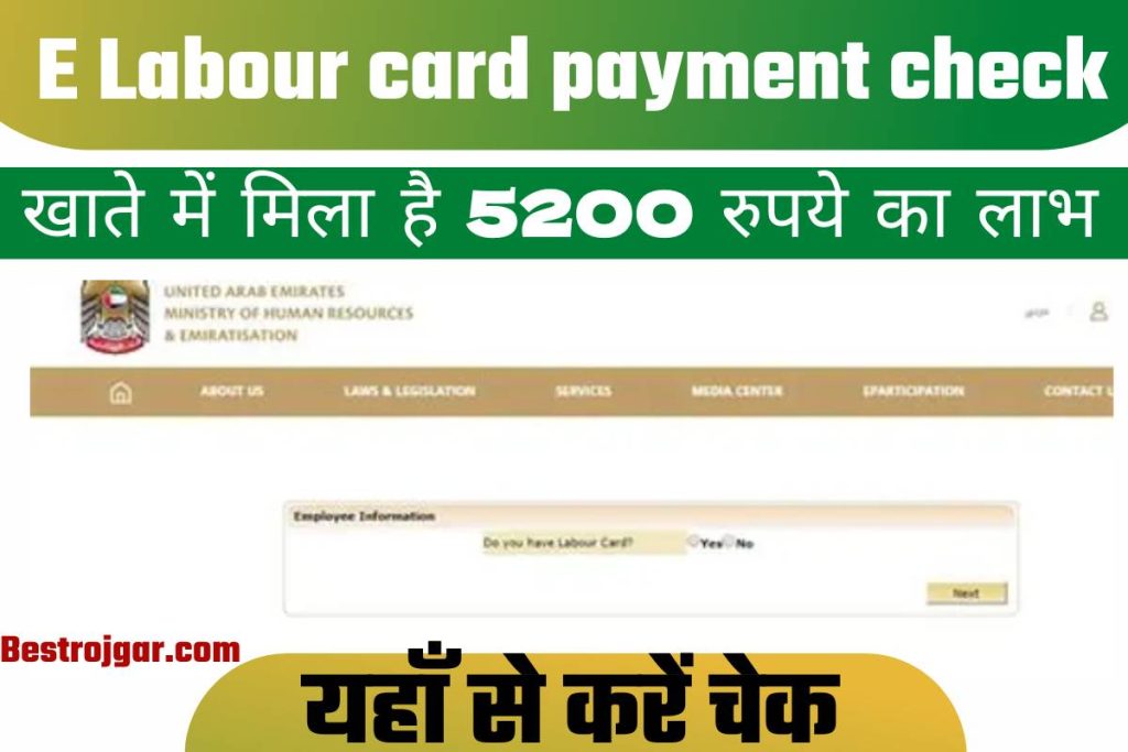 E Labour card payment check