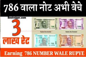 यदि आपके पास 786 serial number नोट हैं, तो धन की वर्षा होने लगेगी; आपको केवल इस कार्य को पूरा करना है।