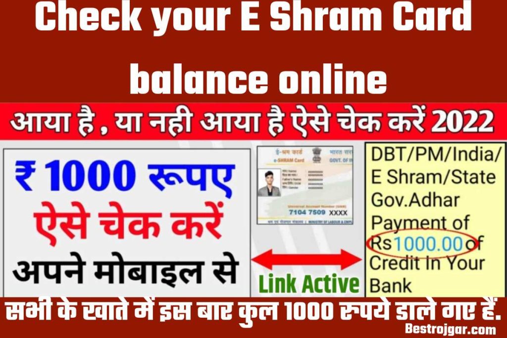 Check your E Shram Card balance online