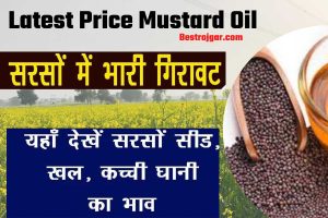 Latest Price Mustard Oil:-  आज का सरसों का भाव