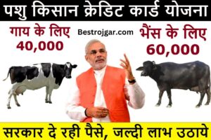 Pashu Kisan Credit Card Yojna: मवेशी की खरीद पर सरकार दे रही है 1.5 लाख रुपये का फायदा, ऐसे कर सकते हैं आवेदन