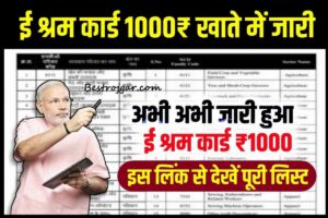 E Shram Card Payment Release 2023:- ई श्रम कार्ड धारकों के खाते में जारी किए गए ₹1000, यहां से चेक करें भुगतान की स्थिति