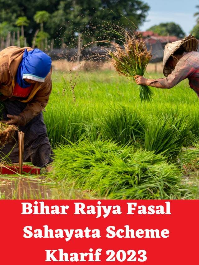 Bihar Rajya Fasal Sahayata Scheme Kharif 2023