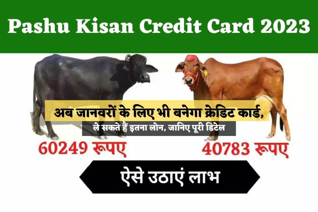 Pashu Kisan Credit Card 2023