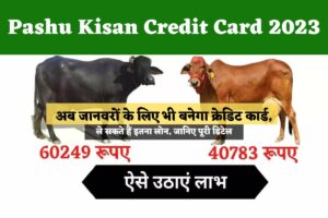 Pashu Kisan Credit Card 2023: अब जानवरों के लिए भी बनेगा क्रेडिट कार्ड, ले सकते हैं इतना लोन, जानिए पूरी डिटेल