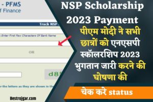 NSP Scholarship 2023 Payment
