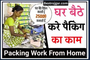 Pen Packing Work From Home Kaise Kare