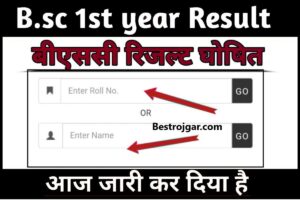 BSC Result Out 2023। बीएससी 2023 रिजल्ट (बीएससी 2023 रिजल्ट यहां देखें)