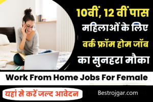 Female Work from Home Job