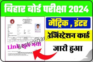 Bihar Board 10th 12th Final Registration Card 2024 : मैट्रिक व इंटर Original Registration अभी जारी हुआ, इस डायरेक्ट लिंक से देखें रेजिस्ट्रेशन कार्ड, Best Link Active