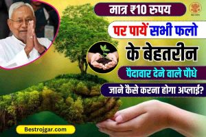 Bihar Krishi Vaniki Yojana: मात्र रु. में उच्च उपज वाले फलों के पौधे प्राप्त करें। 10, अभी आवेदन करें!