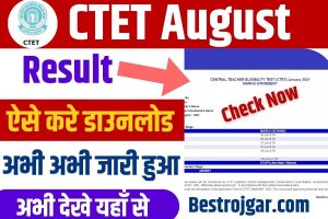 CTET Result August 2023 : CTET August 2023 का रिजल्ट जारी, जाने कैसे कर पायेगे फटाफट अपना रिजल्ट चेक