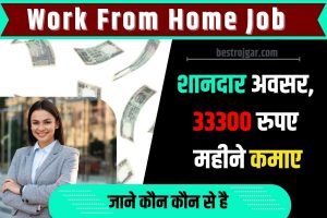 Work From Home Job 2023 : वर्क फ्रॉम होम जॉब का शानदार अवसर, 33300 रुपए महीने कमाए