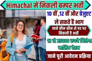 Himachal job 2023 : सिक्योरिटी गार्ड, सुपरवाइजर व एचआर के 180 पदों पर निकली बंपर भर्ती, इस दिन होंगे साक्षात्कार