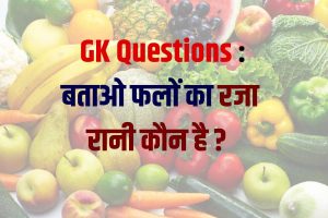 General Knowledge Questions 2023 : ये है प्रतियोगी परीक्षाओं के सबसे महत्वपूर्ण सवाल , जाने कौन कौन से है ?