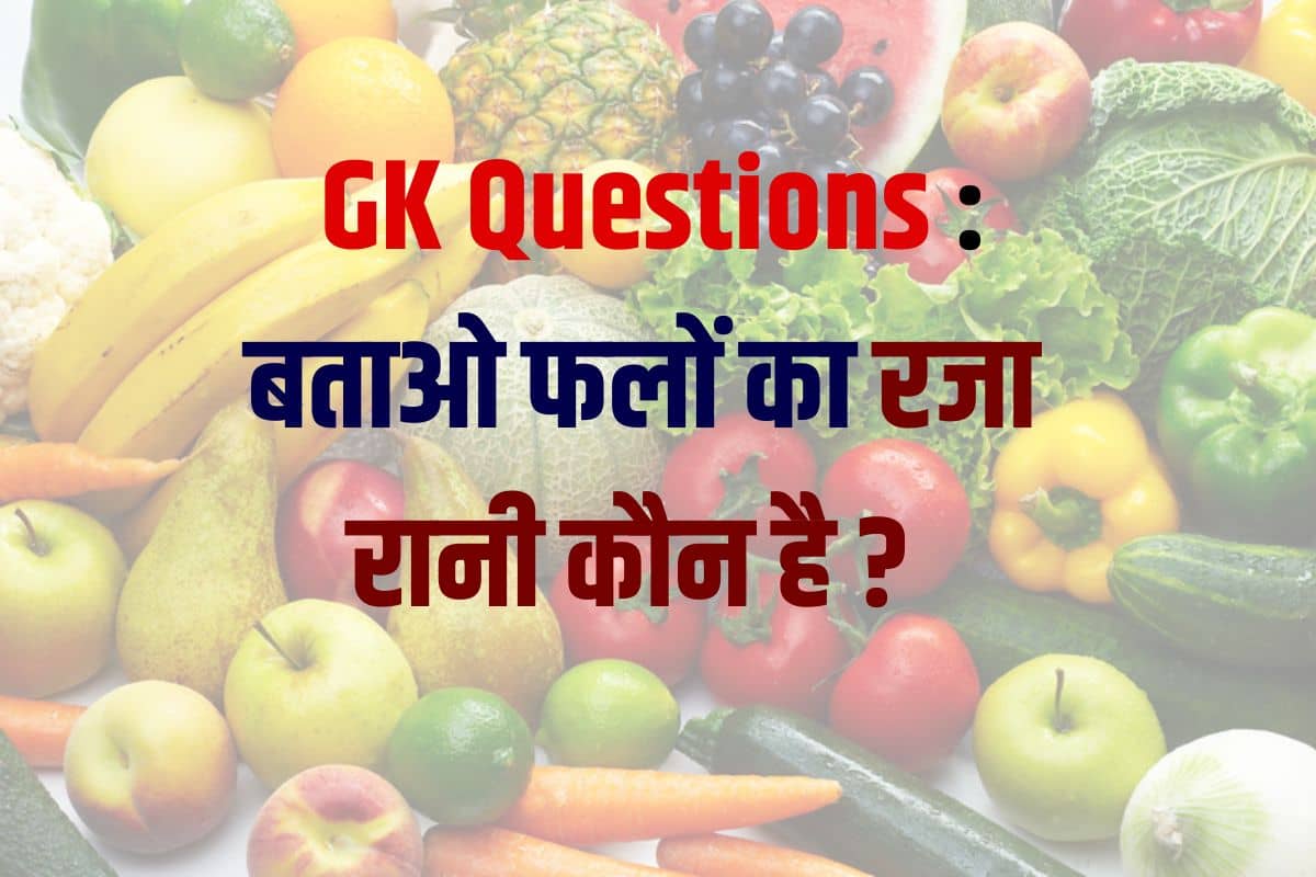 General Knowledge Questions