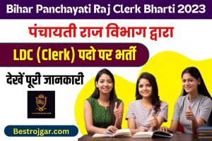 Bihar Panchayat Raj Department Bharti 2023 : निम्न वर्गीय लिपिक की नई भर्ती जारी ऐसे करें आवेदन