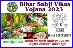 Bihar Sabji Vikas Yojana 2023 : सरकार देगी सब्जी लगाने पर 75% तक अनुदान ऑनलाइन आवेदन शुरू