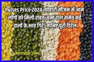 Pulses Price 2024: त्योहारी सीजन में आम लोगों को मिली राहत, चना दाल समेत कई दालों के भाव गिरें, जानिए पूरी डिटेल