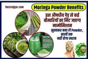 Moringa Powder Benefits 2023: इस औषधीय पेड़ से कई बीमारियों का मिट जाएगा नामोनिशान, सुखाकर बना लें पाउडर, सालों तक नहीं होगा खराब