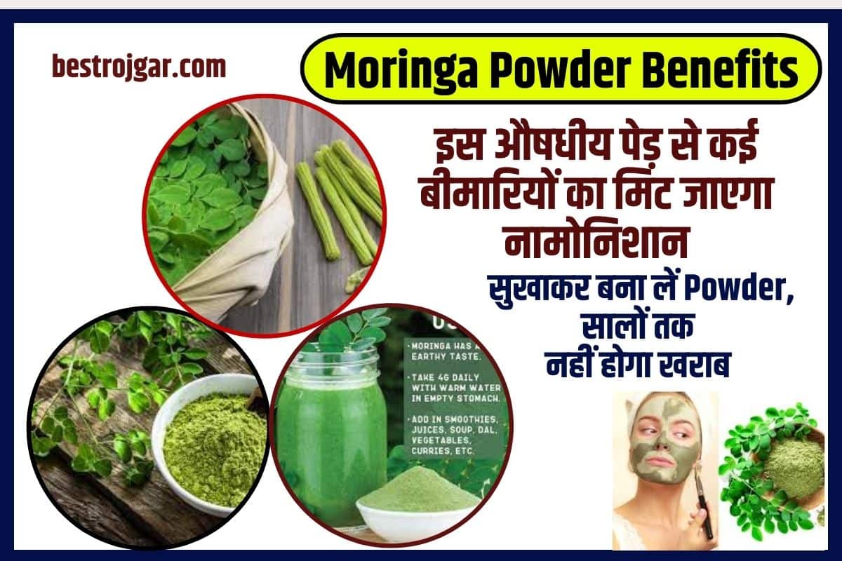 Moringa Powder Benefits