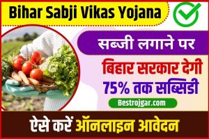 Bihar Sabji Vikas Yojana Update 2023: बिहार सरकार सब्जियां लगाने पर देगी 75% तक सब्सिडी, ऐसे करें ऑनलाइन आवेदन